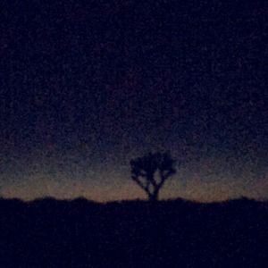 Meet your Posher, Leeanna